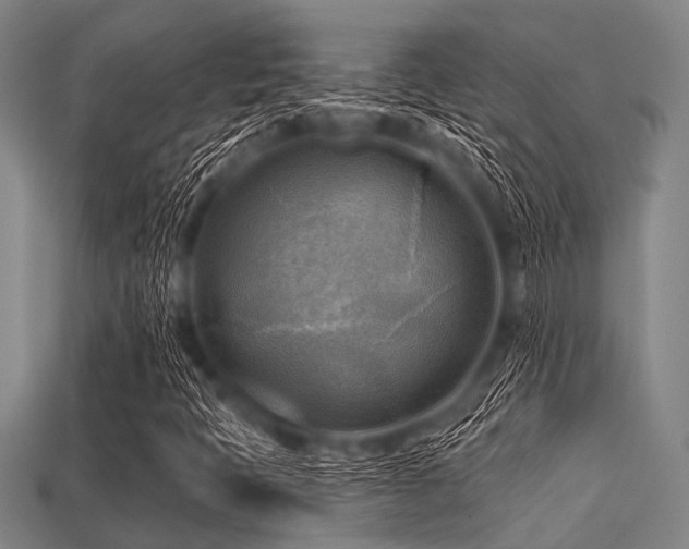 X0000113341397200909151122