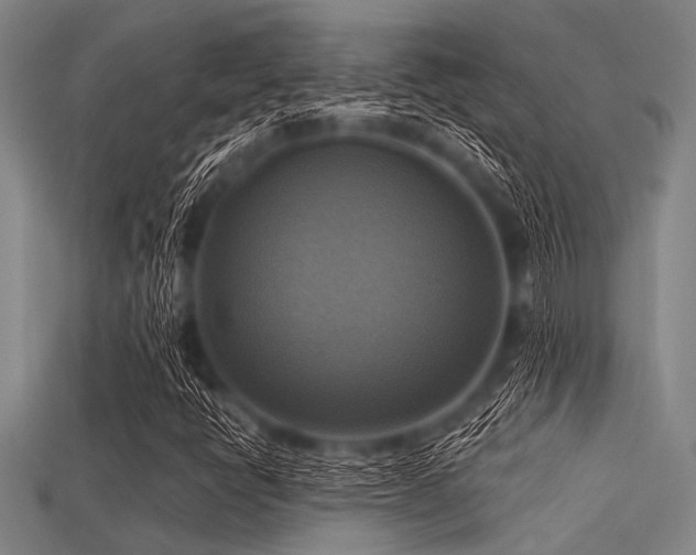 X0000113341398200909151122
