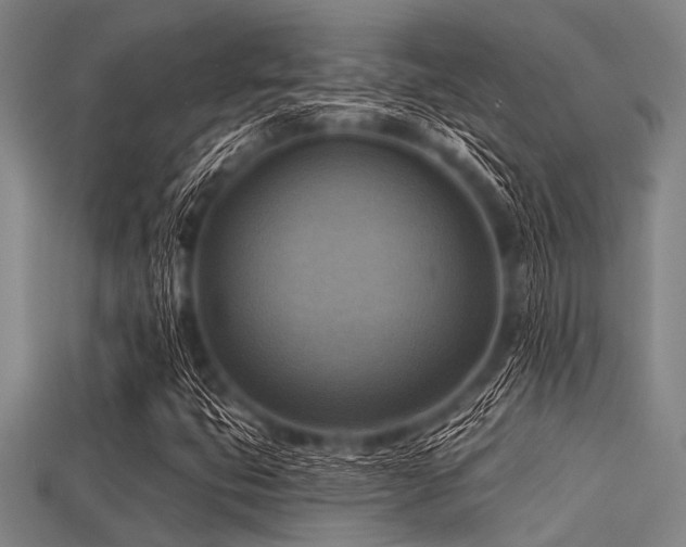 X0000113341399200909151122