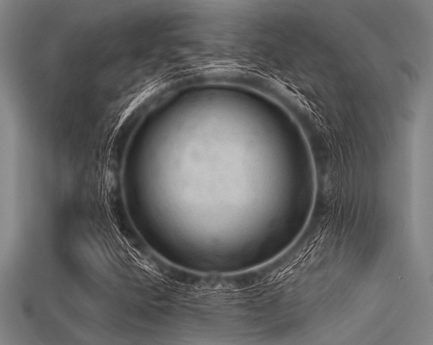 X0000113341400200909151122
