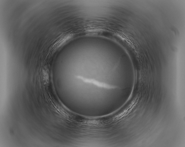 X0000113341401200909151122