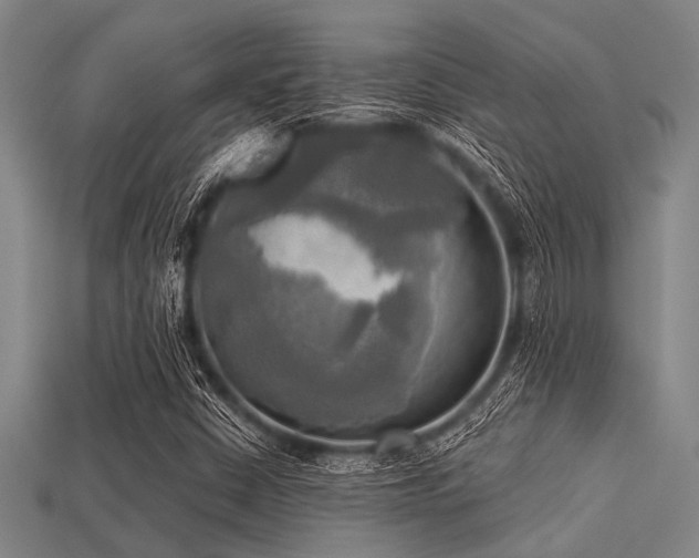 X0000113341402200909151122