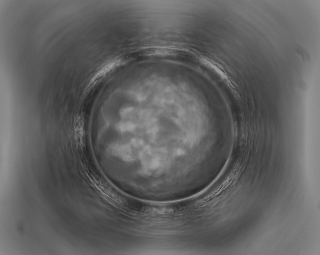 X0000113341403200909151122