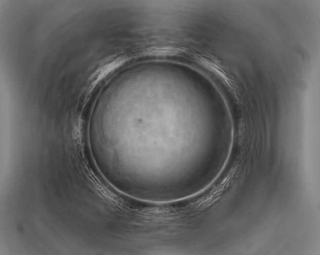 X0000113341404200909151122