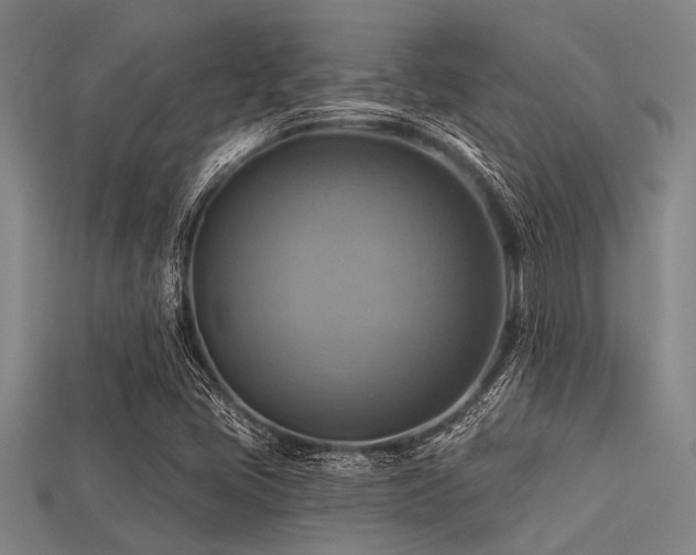 X0000113341405200909151122