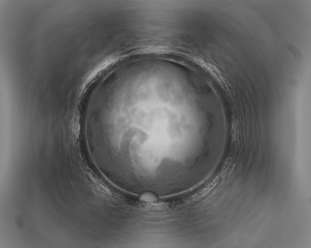 X0000113341406200909151122