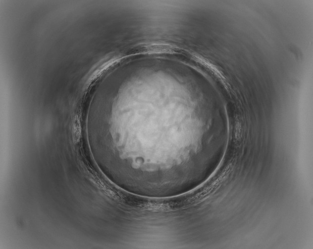 X0000113341407200909151122