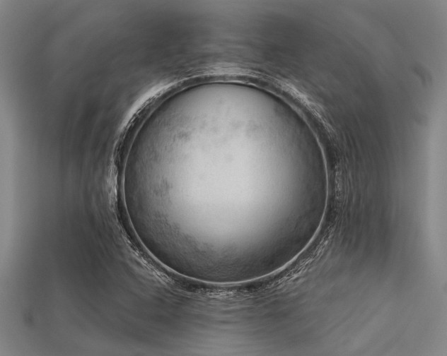 X0000113341408200909151122