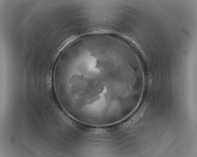 X0000113341409200909151122