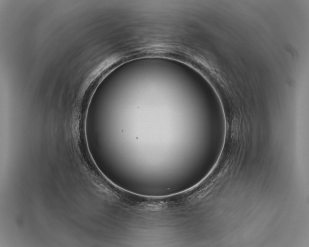 X0000113341410200909151122