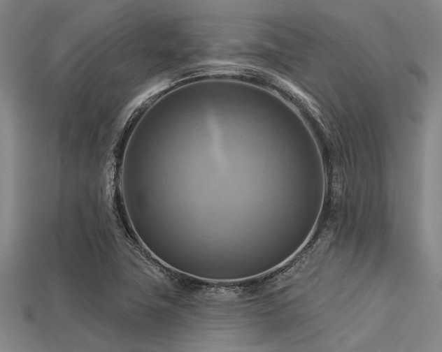X0000113341411200909151122