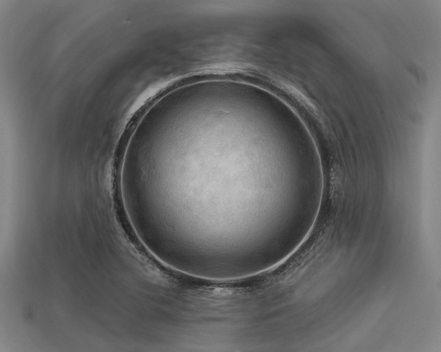 X0000113341412200909151122