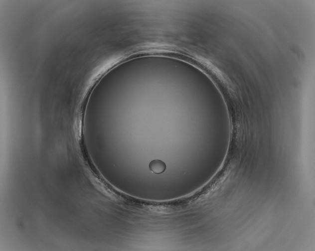 X0000113341413200909151122