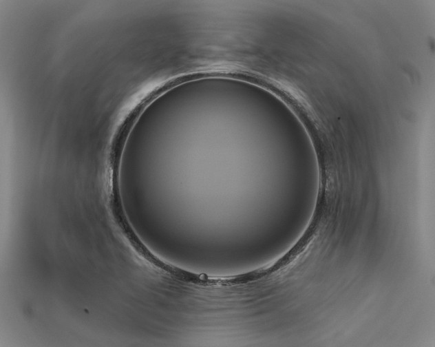 X0000113341414200909151122
