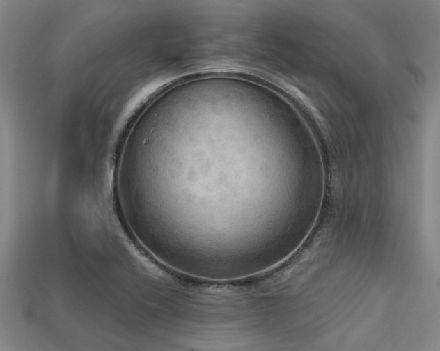 X0000113341416200909151122