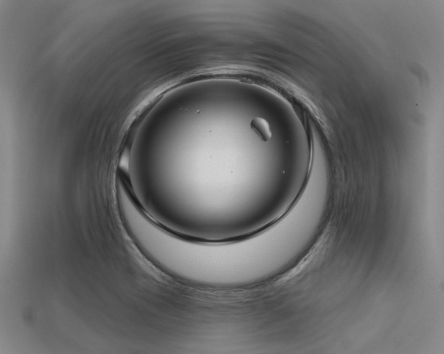X0000113341417200909151122