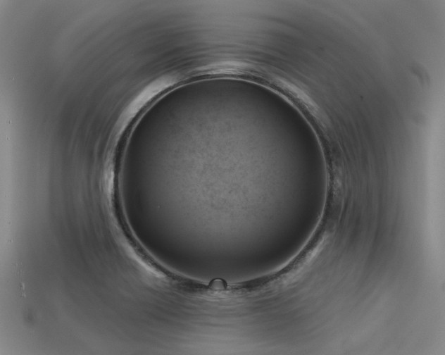 X0000113341418200909151122