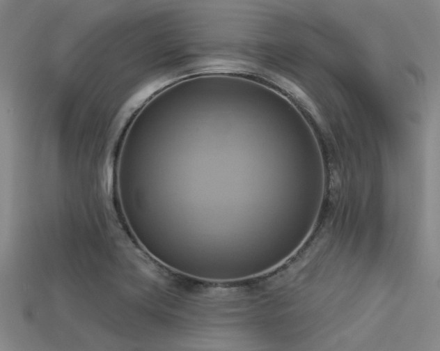 X0000113341419200909151122