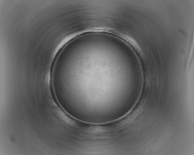 X0000113341420200909151122