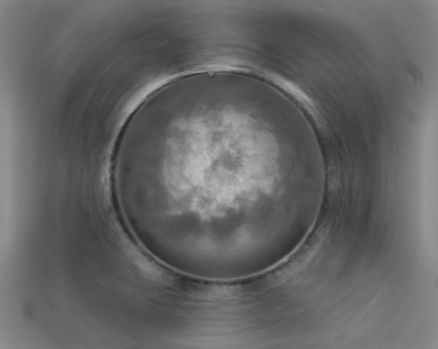 X0000113341423200909151122