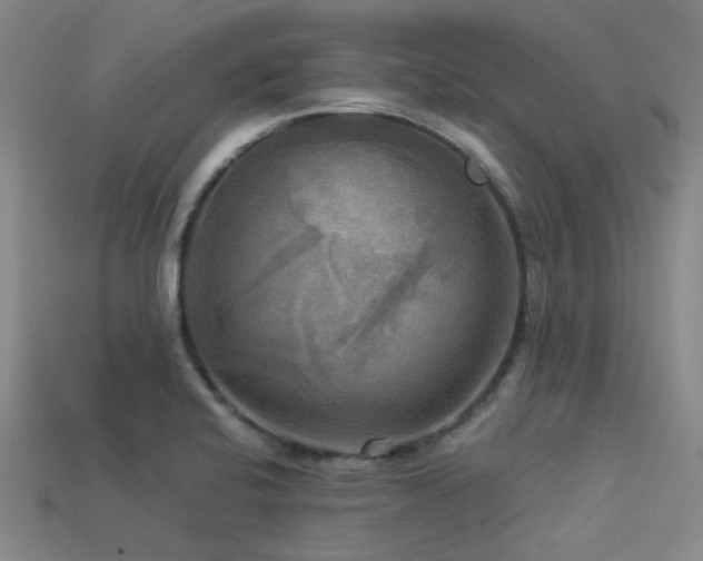 X0000113341424200909151122