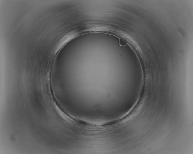X0000113341425200909151122