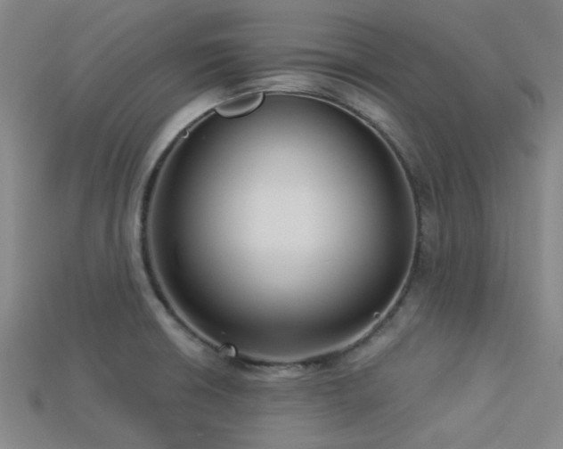 X0000113341426200909151122