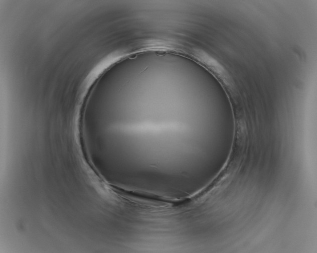 X0000113341427200909151122