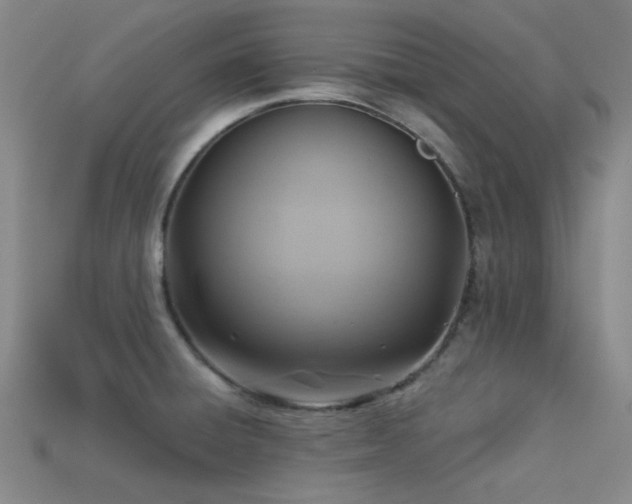 X0000113341428200909151122
