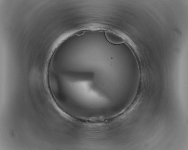 X0000113341429200909151122