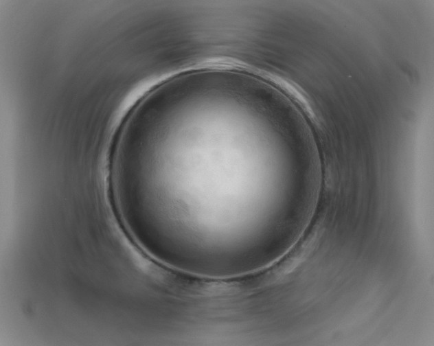 X0000113341430200909151122