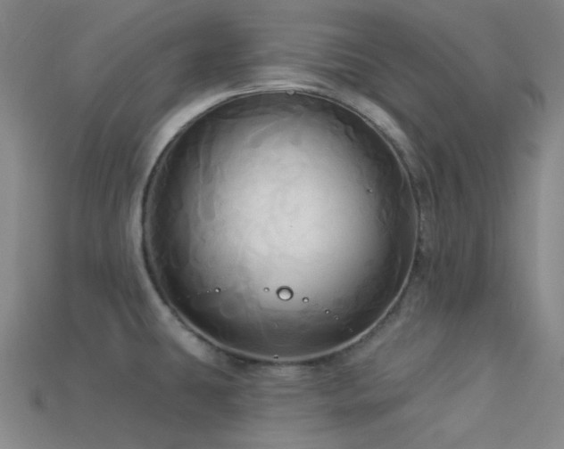 X0000113341431200909151122