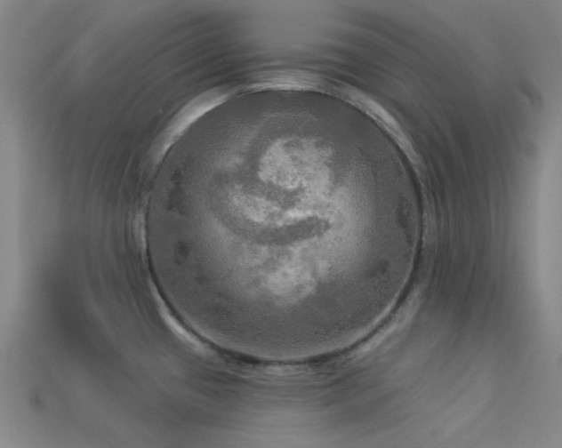 X0000113341433200909151122