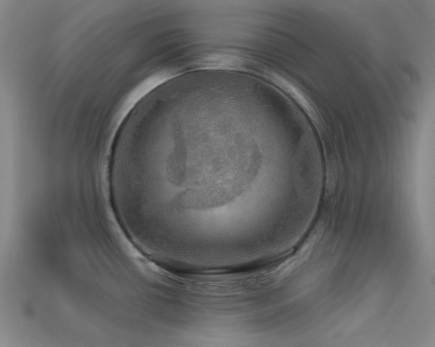 X0000113341434200909151122
