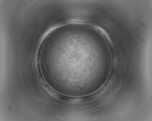 X0000113341435200909151122