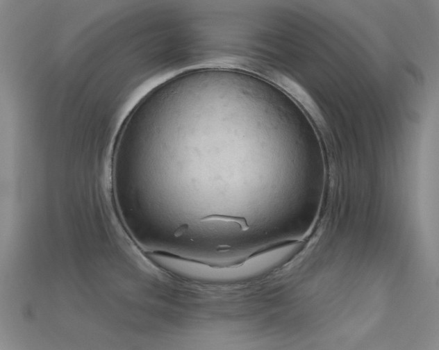 X0000113341436200909151122