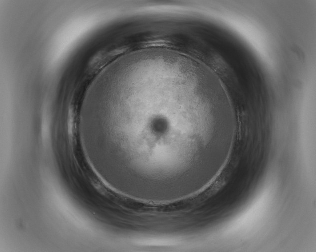 X0000113341438200909151122