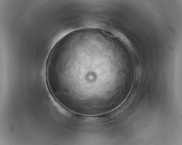 X0000113341439200909151122