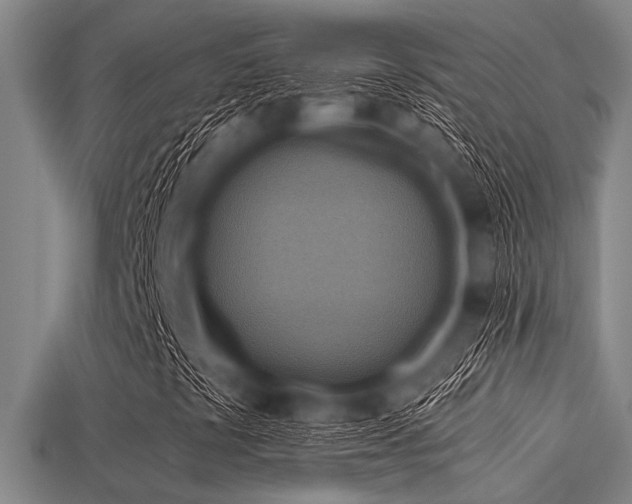 X0000113341441200909151122