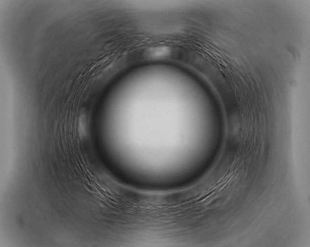 X0000113341442200909151122