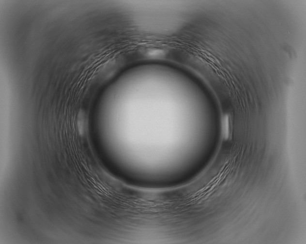 X0000113341443200909151122
