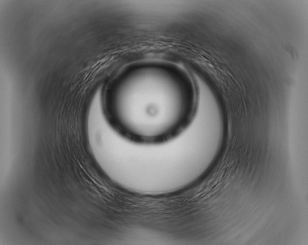 X0000113341444200909151122