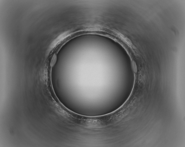 X0000113341456200909151121