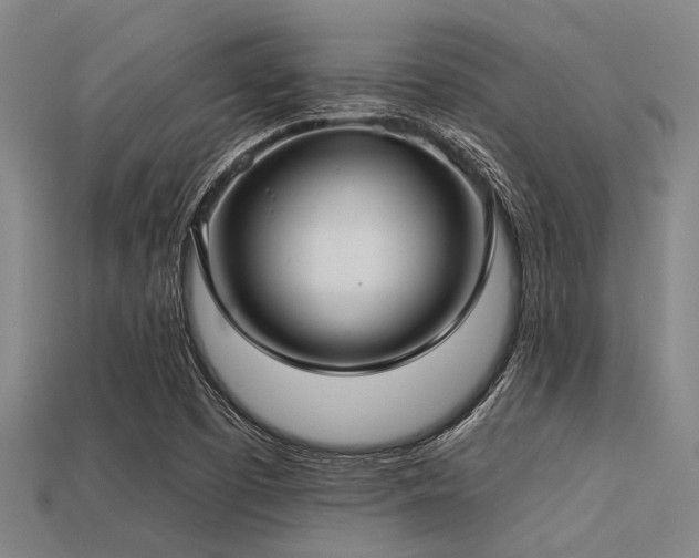 X0000113341457200909151121