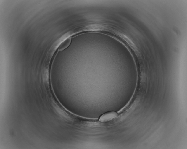 X0000113341465200909151121