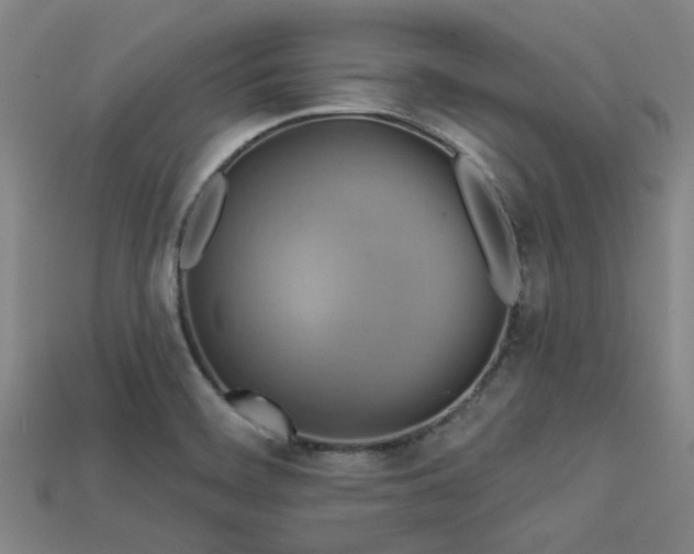 X0000113341468200909151121