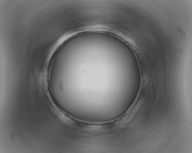 X0000113341470200909151121