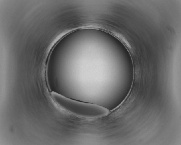 X0000113341484200909151121