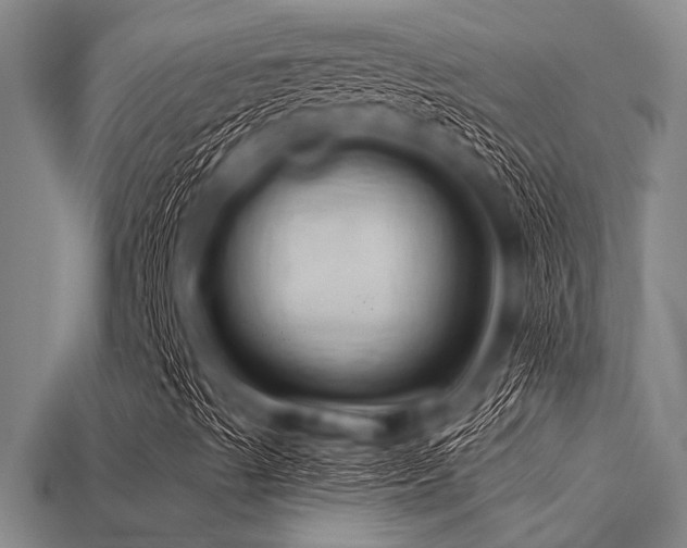 X0000113341489200909151120