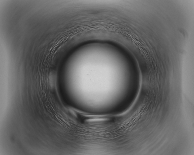 X0000113341490200909151120
